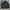 Harley Davidson Biker Bomber jacket Pria black orange photo 4
