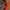 MLB Streetwear Y2K Bomber jacket Pria black orange photo 5