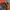 MLB Streetwear Y2K Bomber jacket Pria black orange photo 4