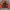 MLB Streetwear Y2K Bomber jacket Pria black orange photo 1