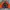 MLB Streetwear Y2K Bomber Jacket Pria Black Orange