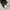 Rick Owens Vintage Streetwear Boots Pria white black photo 3