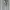 H&M Streetwear Sportswear Sweatpants & Joggers Pria gray photo 4