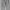 H&M Streetwear Sportswear Sweatpants & Joggers Pria gray photo 1