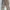 Uniqlo Streetwear Y2K Casual pants Pria tan photo 2