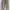 Uniqlo Streetwear Y2K Casual pants Pria tan photo 6