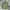 Japanese Brand Vintage Parka Pria Green