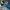 Adidas Indie Casual Sneakers Pria tan blue photo 2