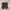 Stussy Vintage Y2K Short Pria brown photo 1