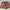 Sportswear Mini skirt Wanita brown photo 1