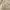 PUFFER DOWN JACKET POLHAM SIZE : photo 6