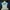 Sportswear Casual Windbreaker Pria white blue photo 1