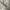 GAP Streetwear Casual Hoody Pria white photo 3