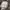 GOA Grunge Avant Garde Maxi skirt Wanita multicolor photo 5