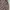 Muslim Formal shirt Pria multicolor photo 2