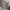 Casual Trench coat Pria multicolor photo 1