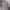 Casual Trench coat Pria multicolor photo 5