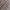Muslim Formal shirt Pria multicolor photo 2