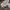 Schott NYC Vintage Short Pria khaki cream photo 3