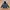 The North Face Gorpcore Track Jacket Pria Black