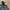 The North Face Gorpcore Track jacket Pria black photo 3
