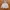 E Basics Casual Fleece Pria gray photo 2