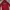 Dickies Luxury Hoody Pria red photo 2