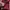Polham Casual Sweater Pria red photo 4