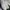 Adidas Streetwear Sneakers Pria white blue photo 3