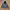 A Bathing Ape Luxury Casual Fleece Pria black gray photo 2