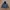 A Bathing Ape Luxury Casual Fleece Pria black gray photo 1