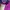 Crocodile Vintage Streetwear Evening dress Wanita purple photo 1