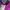 Crocodile Vintage Streetwear Evening Dress Wanita Purple