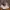 Adidas Casual Sneakers Pria white photo 2