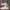 Adidas Casual Sneakers Pria white photo 1