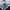 Adidas Sportswear Bomber jacket Pria white black photo 3