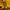 Reebok Vintage Jersey Pria navy yellow photo 5