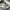 GAP Streetwear Bomber jacket Pria gray photo 4
