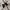 Stone Island Y2K Casual Bomber jacket Pria cream photo 5