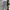 Uniqlo Streetwear Minimalist Sweatpants & Joggers Pria multicolor photo 1