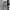 Uniqlo Streetwear Minimalist Sweatpants & Joggers Pria Multicolor