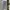 Uniqlo Streetwear Minimalist Sweatpants & Joggers Pria multicolor photo 2