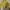 Vintage Track jacket Pria yellow photo 1