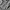 Pancoat Streetwear Casual Hoody Pria gray photo 5