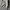Pancoat Streetwear Casual Hoody Pria gray photo 4