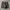Streetwear Casual Casual pants Pria green gray photo 2