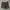 Streetwear Casual Casual pants Pria green gray photo 1