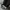 Adidas Streetwear Sportswear Bag Pria black photo 3