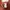 Cotton On Y2K Lolita Crop top Wanita burgundy brown photo 2