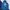 Adidas Casual Pria navy blue photo 1